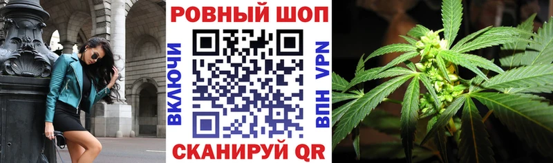 ТГК Плёс