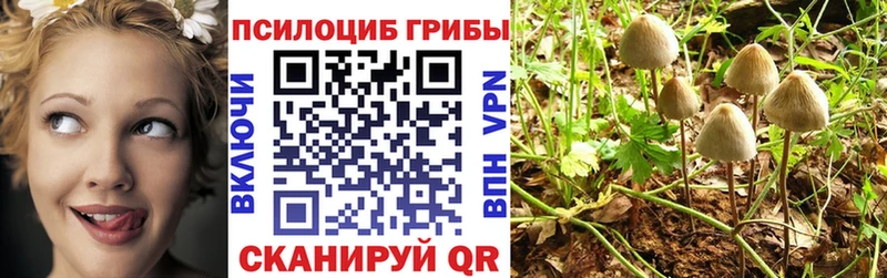 Галлюциногенные грибы мицелий MEGA как войти Плёс
